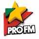 Logo de ProFM - ProFM Black