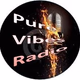 Logo de Pure Vibes Radio