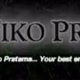 Logo de Bali Niko Pratama
