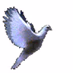 Logo de WJDA