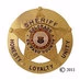 Colorado Springs Police and El Paso County Sheriff logo