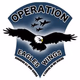 Logo de Operation Eagles Wings - Light America Blue