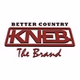 94.1 The Brand - KNEB-FM logo
