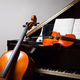 Logo de All Classical Piano Chamber Works and Concertos