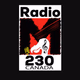 Logo de Radio M 230